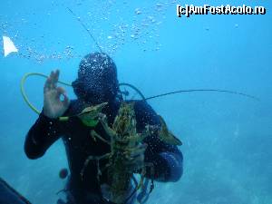 [P22] Croaziera pe vasul cu fundul de sticla » foto by Ammelie
 - 
<span class="allrVoted glyphicon glyphicon-heart hidden" id="av623596"></span>
<a class="m-l-10 hidden" id="sv623596" onclick="voting_Foto_DelVot(,623596,993)" role="button">șterge vot <span class="glyphicon glyphicon-remove"></span></a>
<a id="v9623596" class=" c-red"  onclick="voting_Foto_SetVot(623596)" role="button"><span class="glyphicon glyphicon-heart-empty"></span> <b>LIKE</b> = Votează poza</a> <img class="hidden"  id="f623596W9" src="/imagini/loader.gif" border="0" /><span class="AjErrMes hidden" id="e623596ErM"></span>