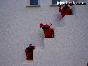 [P38]  -- <small>// FĂRĂ DESCRIERE</small> » foto by Ammelie
 - 
<span class="allrVoted glyphicon glyphicon-heart hidden" id="av623612"></span>
<a class="m-l-10 hidden" id="sv623612" onclick="voting_Foto_DelVot(,623612,993)" role="button">șterge vot <span class="glyphicon glyphicon-remove"></span></a>
<a id="v9623612" class=" c-red"  onclick="voting_Foto_SetVot(623612)" role="button"><span class="glyphicon glyphicon-heart-empty"></span> <b>LIKE</b> = Votează poza</a> <img class="hidden"  id="f623612W9" src="/imagini/loader.gif" border="0" /><span class="AjErrMes hidden" id="e623612ErM"></span>