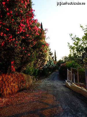 [P63]  -- <small>// FĂRĂ DESCRIERE</small> » foto by Ammelie
 - 
<span class="allrVoted glyphicon glyphicon-heart hidden" id="av623637"></span>
<a class="m-l-10 hidden" id="sv623637" onclick="voting_Foto_DelVot(,623637,993)" role="button">șterge vot <span class="glyphicon glyphicon-remove"></span></a>
<a id="v9623637" class=" c-red"  onclick="voting_Foto_SetVot(623637)" role="button"><span class="glyphicon glyphicon-heart-empty"></span> <b>LIKE</b> = Votează poza</a> <img class="hidden"  id="f623637W9" src="/imagini/loader.gif" border="0" /><span class="AjErrMes hidden" id="e623637ErM"></span>