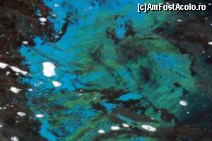 [P22] Grota Ochiul Albastru (concentrație mare de fosfor)  » foto by Zoazore
 - 
<span class="allrVoted glyphicon glyphicon-heart hidden" id="av644540"></span>
<a class="m-l-10 hidden" id="sv644540" onclick="voting_Foto_DelVot(,644540,993)" role="button">șterge vot <span class="glyphicon glyphicon-remove"></span></a>
<a id="v9644540" class=" c-red"  onclick="voting_Foto_SetVot(644540)" role="button"><span class="glyphicon glyphicon-heart-empty"></span> <b>LIKE</b> = Votează poza</a> <img class="hidden"  id="f644540W9" src="/imagini/loader.gif" border="0" /><span class="AjErrMes hidden" id="e644540ErM"></span>