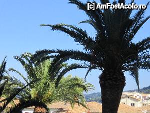 [P12] Vedere de pe terasa » foto by bica adriana
 - 
<span class="allrVoted glyphicon glyphicon-heart hidden" id="av430435"></span>
<a class="m-l-10 hidden" id="sv430435" onclick="voting_Foto_DelVot(,430435,993)" role="button">șterge vot <span class="glyphicon glyphicon-remove"></span></a>
<a id="v9430435" class=" c-red"  onclick="voting_Foto_SetVot(430435)" role="button"><span class="glyphicon glyphicon-heart-empty"></span> <b>LIKE</b> = Votează poza</a> <img class="hidden"  id="f430435W9" src="/imagini/loader.gif" border="0" /><span class="AjErrMes hidden" id="e430435ErM"></span>