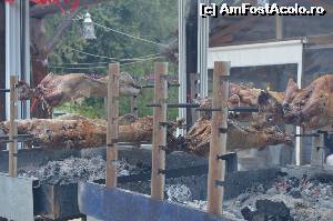 [P26] miei si iezi!  » foto by xpac
 - 
<span class="allrVoted glyphicon glyphicon-heart hidden" id="av590519"></span>
<a class="m-l-10 hidden" id="sv590519" onclick="voting_Foto_DelVot(,590519,993)" role="button">șterge vot <span class="glyphicon glyphicon-remove"></span></a>
<a id="v9590519" class=" c-red"  onclick="voting_Foto_SetVot(590519)" role="button"><span class="glyphicon glyphicon-heart-empty"></span> <b>LIKE</b> = Votează poza</a> <img class="hidden"  id="f590519W9" src="/imagini/loader.gif" border="0" /><span class="AjErrMes hidden" id="e590519ErM"></span>