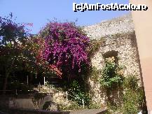 [P209] Kerkyra, Corfu » foto by krondia*
 - 
<span class="allrVoted glyphicon glyphicon-heart hidden" id="av233571"></span>
<a class="m-l-10 hidden" id="sv233571" onclick="voting_Foto_DelVot(,233571,993)" role="button">șterge vot <span class="glyphicon glyphicon-remove"></span></a>
<a id="v9233571" class=" c-red"  onclick="voting_Foto_SetVot(233571)" role="button"><span class="glyphicon glyphicon-heart-empty"></span> <b>LIKE</b> = Votează poza</a> <img class="hidden"  id="f233571W9" src="/imagini/loader.gif" border="0" /><span class="AjErrMes hidden" id="e233571ErM"></span>