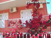 [P09] TOATE hotelurile iti ofera flori incantatoare-Corfu » foto by gabicata19
 - 
<span class="allrVoted glyphicon glyphicon-heart hidden" id="av472705"></span>
<a class="m-l-10 hidden" id="sv472705" onclick="voting_Foto_DelVot(,472705,993)" role="button">șterge vot <span class="glyphicon glyphicon-remove"></span></a>
<a id="v9472705" class=" c-red"  onclick="voting_Foto_SetVot(472705)" role="button"><span class="glyphicon glyphicon-heart-empty"></span> <b>LIKE</b> = Votează poza</a> <img class="hidden"  id="f472705W9" src="/imagini/loader.gif" border="0" /><span class="AjErrMes hidden" id="e472705ErM"></span>