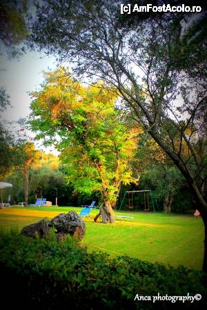 [P04] Gradina de la Sun Village » foto by anka03.june
 - 
<span class="allrVoted glyphicon glyphicon-heart hidden" id="av489217"></span>
<a class="m-l-10 hidden" id="sv489217" onclick="voting_Foto_DelVot(,489217,993)" role="button">șterge vot <span class="glyphicon glyphicon-remove"></span></a>
<a id="v9489217" class=" c-red"  onclick="voting_Foto_SetVot(489217)" role="button"><span class="glyphicon glyphicon-heart-empty"></span> <b>LIKE</b> = Votează poza</a> <img class="hidden"  id="f489217W9" src="/imagini/loader.gif" border="0" /><span class="AjErrMes hidden" id="e489217ErM"></span>