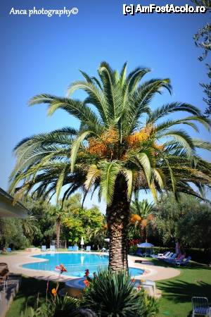 [P05] Piscina + Jacuzzi Sun Village » foto by anka03.june
 - 
<span class="allrVoted glyphicon glyphicon-heart hidden" id="av489218"></span>
<a class="m-l-10 hidden" id="sv489218" onclick="voting_Foto_DelVot(,489218,993)" role="button">șterge vot <span class="glyphicon glyphicon-remove"></span></a>
<a id="v9489218" class=" c-red"  onclick="voting_Foto_SetVot(489218)" role="button"><span class="glyphicon glyphicon-heart-empty"></span> <b>LIKE</b> = Votează poza</a> <img class="hidden"  id="f489218W9" src="/imagini/loader.gif" border="0" /><span class="AjErrMes hidden" id="e489218ErM"></span>