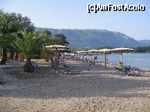 [P37] Dassia » foto by dianabzs
 - 
<span class="allrVoted glyphicon glyphicon-heart hidden" id="av159178"></span>
<a class="m-l-10 hidden" id="sv159178" onclick="voting_Foto_DelVot(,159178,993)" role="button">șterge vot <span class="glyphicon glyphicon-remove"></span></a>
<a id="v9159178" class=" c-red"  onclick="voting_Foto_SetVot(159178)" role="button"><span class="glyphicon glyphicon-heart-empty"></span> <b>LIKE</b> = Votează poza</a> <img class="hidden"  id="f159178W9" src="/imagini/loader.gif" border="0" /><span class="AjErrMes hidden" id="e159178ErM"></span>