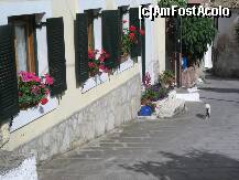 [P40] la pas prin Sinarades » foto by dianabzs
 - 
<span class="allrVoted glyphicon glyphicon-heart hidden" id="av159183"></span>
<a class="m-l-10 hidden" id="sv159183" onclick="voting_Foto_DelVot(,159183,993)" role="button">șterge vot <span class="glyphicon glyphicon-remove"></span></a>
<a id="v9159183" class=" c-red"  onclick="voting_Foto_SetVot(159183)" role="button"><span class="glyphicon glyphicon-heart-empty"></span> <b>LIKE</b> = Votează poza</a> <img class="hidden"  id="f159183W9" src="/imagini/loader.gif" border="0" /><span class="AjErrMes hidden" id="e159183ErM"></span>