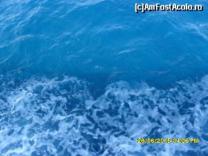 [P10] culoarea marii » foto by adryana
 - 
<span class="allrVoted glyphicon glyphicon-heart hidden" id="av669292"></span>
<a class="m-l-10 hidden" id="sv669292" onclick="voting_Foto_DelVot(,669292,993)" role="button">șterge vot <span class="glyphicon glyphicon-remove"></span></a>
<a id="v9669292" class=" c-red"  onclick="voting_Foto_SetVot(669292)" role="button"><span class="glyphicon glyphicon-heart-empty"></span> <b>LIKE</b> = Votează poza</a> <img class="hidden"  id="f669292W9" src="/imagini/loader.gif" border="0" /><span class="AjErrMes hidden" id="e669292ErM"></span>