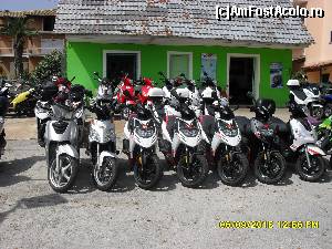 [P22]  -- <small>// FĂRĂ DESCRIERE</small> » foto by adryana
 - 
<span class="allrVoted glyphicon glyphicon-heart hidden" id="av669306"></span>
<a class="m-l-10 hidden" id="sv669306" onclick="voting_Foto_DelVot(,669306,993)" role="button">șterge vot <span class="glyphicon glyphicon-remove"></span></a>
<a id="v9669306" class=" c-red"  onclick="voting_Foto_SetVot(669306)" role="button"><span class="glyphicon glyphicon-heart-empty"></span> <b>LIKE</b> = Votează poza</a> <img class="hidden"  id="f669306W9" src="/imagini/loader.gif" border="0" /><span class="AjErrMes hidden" id="e669306ErM"></span>