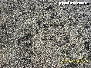 [P48]  -- <small>// FĂRĂ DESCRIERE</small> » foto by adryana
 - 
<span class="allrVoted glyphicon glyphicon-heart hidden" id="av669338"></span>
<a class="m-l-10 hidden" id="sv669338" onclick="voting_Foto_DelVot(,669338,993)" role="button">șterge vot <span class="glyphicon glyphicon-remove"></span></a>
<a id="v9669338" class=" c-red"  onclick="voting_Foto_SetVot(669338)" role="button"><span class="glyphicon glyphicon-heart-empty"></span> <b>LIKE</b> = Votează poza</a> <img class="hidden"  id="f669338W9" src="/imagini/loader.gif" border="0" /><span class="AjErrMes hidden" id="e669338ErM"></span>