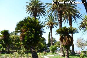 [P119] 4d) gradinile imperiale ale Palatului Achillion » foto by adryana
 - 
<span class="allrVoted glyphicon glyphicon-heart hidden" id="av670279"></span>
<a class="m-l-10 hidden" id="sv670279" onclick="voting_Foto_DelVot(,670279,993)" role="button">șterge vot <span class="glyphicon glyphicon-remove"></span></a>
<a id="v9670279" class=" c-red"  onclick="voting_Foto_SetVot(670279)" role="button"><span class="glyphicon glyphicon-heart-empty"></span> <b>LIKE</b> = Votează poza</a> <img class="hidden"  id="f670279W9" src="/imagini/loader.gif" border="0" /><span class="AjErrMes hidden" id="e670279ErM"></span>