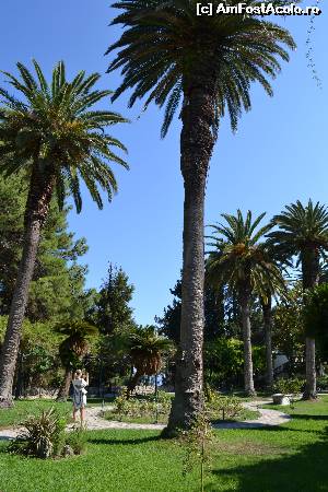 [P123] 4d) gradinile imperiale ale Palatului Achillion » foto by adryana
 - 
<span class="allrVoted glyphicon glyphicon-heart hidden" id="av670285"></span>
<a class="m-l-10 hidden" id="sv670285" onclick="voting_Foto_DelVot(,670285,993)" role="button">șterge vot <span class="glyphicon glyphicon-remove"></span></a>
<a id="v9670285" class=" c-red"  onclick="voting_Foto_SetVot(670285)" role="button"><span class="glyphicon glyphicon-heart-empty"></span> <b>LIKE</b> = Votează poza</a> <img class="hidden"  id="f670285W9" src="/imagini/loader.gif" border="0" /><span class="AjErrMes hidden" id="e670285ErM"></span>