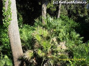 [P134] 4d) Palatul Achillion » foto by adryana
 - 
<span class="allrVoted glyphicon glyphicon-heart hidden" id="av670299"></span>
<a class="m-l-10 hidden" id="sv670299" onclick="voting_Foto_DelVot(,670299,993)" role="button">șterge vot <span class="glyphicon glyphicon-remove"></span></a>
<a id="v9670299" class=" c-red"  onclick="voting_Foto_SetVot(670299)" role="button"><span class="glyphicon glyphicon-heart-empty"></span> <b>LIKE</b> = Votează poza</a> <img class="hidden"  id="f670299W9" src="/imagini/loader.gif" border="0" /><span class="AjErrMes hidden" id="e670299ErM"></span>