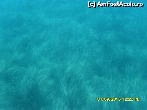 [P18] 4a) Kerkira-croaziera cu Kalypso Star » foto by adryana
 - 
<span class="allrVoted glyphicon glyphicon-heart hidden" id="av670155"></span>
<a class="m-l-10 hidden" id="sv670155" onclick="voting_Foto_DelVot(,670155,993)" role="button">șterge vot <span class="glyphicon glyphicon-remove"></span></a>
<a id="v9670155" class=" c-red"  onclick="voting_Foto_SetVot(670155)" role="button"><span class="glyphicon glyphicon-heart-empty"></span> <b>LIKE</b> = Votează poza</a> <img class="hidden"  id="f670155W9" src="/imagini/loader.gif" border="0" /><span class="AjErrMes hidden" id="e670155ErM"></span>