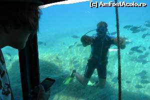 [P19] 4a) Kerkira-croaziera cu Kalypso Star » foto by adryana
 - 
<span class="allrVoted glyphicon glyphicon-heart hidden" id="av670156"></span>
<a class="m-l-10 hidden" id="sv670156" onclick="voting_Foto_DelVot(,670156,993)" role="button">șterge vot <span class="glyphicon glyphicon-remove"></span></a>
<a id="v9670156" class=" c-red"  onclick="voting_Foto_SetVot(670156)" role="button"><span class="glyphicon glyphicon-heart-empty"></span> <b>LIKE</b> = Votează poza</a> <img class="hidden"  id="f670156W9" src="/imagini/loader.gif" border="0" /><span class="AjErrMes hidden" id="e670156ErM"></span>