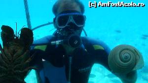 [P20] 4a) Kerkira-croaziera cu Kalypso Star » foto by adryana
 - 
<span class="allrVoted glyphicon glyphicon-heart hidden" id="av670157"></span>
<a class="m-l-10 hidden" id="sv670157" onclick="voting_Foto_DelVot(,670157,993)" role="button">șterge vot <span class="glyphicon glyphicon-remove"></span></a>
<a id="v9670157" class=" c-red"  onclick="voting_Foto_SetVot(670157)" role="button"><span class="glyphicon glyphicon-heart-empty"></span> <b>LIKE</b> = Votează poza</a> <img class="hidden"  id="f670157W9" src="/imagini/loader.gif" border="0" /><span class="AjErrMes hidden" id="e670157ErM"></span>