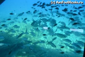 [P24]  -- <small>// FĂRĂ DESCRIERE</small> » foto by adryana
 - 
<span class="allrVoted glyphicon glyphicon-heart hidden" id="av670161"></span>
<a class="m-l-10 hidden" id="sv670161" onclick="voting_Foto_DelVot(,670161,993)" role="button">șterge vot <span class="glyphicon glyphicon-remove"></span></a>
<a id="v9670161" class=" c-red"  onclick="voting_Foto_SetVot(670161)" role="button"><span class="glyphicon glyphicon-heart-empty"></span> <b>LIKE</b> = Votează poza</a> <img class="hidden"  id="f670161W9" src="/imagini/loader.gif" border="0" /><span class="AjErrMes hidden" id="e670161ErM"></span>