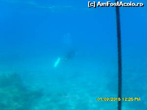 [P28] 4a) Kerkira-croaziera cu Kalypso Star » foto by adryana
 - 
<span class="allrVoted glyphicon glyphicon-heart hidden" id="av670165"></span>
<a class="m-l-10 hidden" id="sv670165" onclick="voting_Foto_DelVot(,670165,993)" role="button">șterge vot <span class="glyphicon glyphicon-remove"></span></a>
<a id="v9670165" class=" c-red"  onclick="voting_Foto_SetVot(670165)" role="button"><span class="glyphicon glyphicon-heart-empty"></span> <b>LIKE</b> = Votează poza</a> <img class="hidden"  id="f670165W9" src="/imagini/loader.gif" border="0" /><span class="AjErrMes hidden" id="e670165ErM"></span>