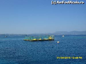 [P29] tarcul leilor de mare » foto by adryana
 - 
<span class="allrVoted glyphicon glyphicon-heart hidden" id="av670166"></span>
<a class="m-l-10 hidden" id="sv670166" onclick="voting_Foto_DelVot(,670166,993)" role="button">șterge vot <span class="glyphicon glyphicon-remove"></span></a>
<a id="v9670166" class=" c-red"  onclick="voting_Foto_SetVot(670166)" role="button"><span class="glyphicon glyphicon-heart-empty"></span> <b>LIKE</b> = Votează poza</a> <img class="hidden"  id="f670166W9" src="/imagini/loader.gif" border="0" /><span class="AjErrMes hidden" id="e670166ErM"></span>