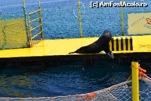 [P30] 4a) Kerkira-croaziera cu Kalypso Star » foto by adryana
 - 
<span class="allrVoted glyphicon glyphicon-heart hidden" id="av670167"></span>
<a class="m-l-10 hidden" id="sv670167" onclick="voting_Foto_DelVot(,670167,993)" role="button">șterge vot <span class="glyphicon glyphicon-remove"></span></a>
<a id="v9670167" class=" c-red"  onclick="voting_Foto_SetVot(670167)" role="button"><span class="glyphicon glyphicon-heart-empty"></span> <b>LIKE</b> = Votează poza</a> <img class="hidden"  id="f670167W9" src="/imagini/loader.gif" border="0" /><span class="AjErrMes hidden" id="e670167ErM"></span>