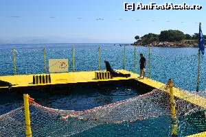 [P31] 4a) Kerkira-croaziera cu Kalypso Star » foto by adryana
 - 
<span class="allrVoted glyphicon glyphicon-heart hidden" id="av670168"></span>
<a class="m-l-10 hidden" id="sv670168" onclick="voting_Foto_DelVot(,670168,993)" role="button">șterge vot <span class="glyphicon glyphicon-remove"></span></a>
<a id="v9670168" class=" c-red"  onclick="voting_Foto_SetVot(670168)" role="button"><span class="glyphicon glyphicon-heart-empty"></span> <b>LIKE</b> = Votează poza</a> <img class="hidden"  id="f670168W9" src="/imagini/loader.gif" border="0" /><span class="AjErrMes hidden" id="e670168ErM"></span>