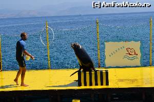 [P32] 4a) Kerkira-croaziera cu Kalypso Star » foto by adryana
 - 
<span class="allrVoted glyphicon glyphicon-heart hidden" id="av670169"></span>
<a class="m-l-10 hidden" id="sv670169" onclick="voting_Foto_DelVot(,670169,993)" role="button">șterge vot <span class="glyphicon glyphicon-remove"></span></a>
<a id="v9670169" class=" c-red"  onclick="voting_Foto_SetVot(670169)" role="button"><span class="glyphicon glyphicon-heart-empty"></span> <b>LIKE</b> = Votează poza</a> <img class="hidden"  id="f670169W9" src="/imagini/loader.gif" border="0" /><span class="AjErrMes hidden" id="e670169ErM"></span>