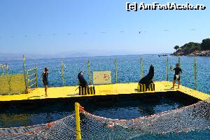 [P33] 4a) Kerkira-croaziera cu Kalypso Star » foto by adryana
 - 
<span class="allrVoted glyphicon glyphicon-heart hidden" id="av670170"></span>
<a class="m-l-10 hidden" id="sv670170" onclick="voting_Foto_DelVot(,670170,993)" role="button">șterge vot <span class="glyphicon glyphicon-remove"></span></a>
<a id="v9670170" class=" c-red"  onclick="voting_Foto_SetVot(670170)" role="button"><span class="glyphicon glyphicon-heart-empty"></span> <b>LIKE</b> = Votează poza</a> <img class="hidden"  id="f670170W9" src="/imagini/loader.gif" border="0" /><span class="AjErrMes hidden" id="e670170ErM"></span>