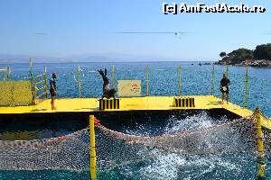 [P34] 4a) Kerkira-croaziera cu Kalypso Star » foto by adryana
 - 
<span class="allrVoted glyphicon glyphicon-heart hidden" id="av670171"></span>
<a class="m-l-10 hidden" id="sv670171" onclick="voting_Foto_DelVot(,670171,993)" role="button">șterge vot <span class="glyphicon glyphicon-remove"></span></a>
<a id="v9670171" class=" c-red"  onclick="voting_Foto_SetVot(670171)" role="button"><span class="glyphicon glyphicon-heart-empty"></span> <b>LIKE</b> = Votează poza</a> <img class="hidden"  id="f670171W9" src="/imagini/loader.gif" border="0" /><span class="AjErrMes hidden" id="e670171ErM"></span>