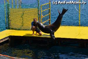 [P36] 4a) Kerkira-croaziera cu Kalypso Star » foto by adryana
 - 
<span class="allrVoted glyphicon glyphicon-heart hidden" id="av670173"></span>
<a class="m-l-10 hidden" id="sv670173" onclick="voting_Foto_DelVot(,670173,993)" role="button">șterge vot <span class="glyphicon glyphicon-remove"></span></a>
<a id="v9670173" class=" c-red"  onclick="voting_Foto_SetVot(670173)" role="button"><span class="glyphicon glyphicon-heart-empty"></span> <b>LIKE</b> = Votează poza</a> <img class="hidden"  id="f670173W9" src="/imagini/loader.gif" border="0" /><span class="AjErrMes hidden" id="e670173ErM"></span>