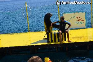 [P37] 4a) Kerkira-croaziera cu Kalypso Star » foto by adryana
 - 
<span class="allrVoted glyphicon glyphicon-heart hidden" id="av670174"></span>
<a class="m-l-10 hidden" id="sv670174" onclick="voting_Foto_DelVot(,670174,993)" role="button">șterge vot <span class="glyphicon glyphicon-remove"></span></a>
<a id="v9670174" class=" c-red"  onclick="voting_Foto_SetVot(670174)" role="button"><span class="glyphicon glyphicon-heart-empty"></span> <b>LIKE</b> = Votează poza</a> <img class="hidden"  id="f670174W9" src="/imagini/loader.gif" border="0" /><span class="AjErrMes hidden" id="e670174ErM"></span>