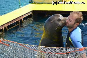 [P38] 4a) Kerkira-croaziera cu Kalypso Star » foto by adryana
 - 
<span class="allrVoted glyphicon glyphicon-heart hidden" id="av670175"></span>
<a class="m-l-10 hidden" id="sv670175" onclick="voting_Foto_DelVot(,670175,993)" role="button">șterge vot <span class="glyphicon glyphicon-remove"></span></a>
<a id="v9670175" class=" c-red"  onclick="voting_Foto_SetVot(670175)" role="button"><span class="glyphicon glyphicon-heart-empty"></span> <b>LIKE</b> = Votează poza</a> <img class="hidden"  id="f670175W9" src="/imagini/loader.gif" border="0" /><span class="AjErrMes hidden" id="e670175ErM"></span>