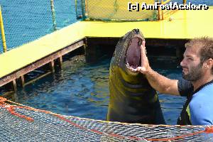 [P39] 4a) Kerkira-croaziera cu Kalypso Star » foto by adryana
 - 
<span class="allrVoted glyphicon glyphicon-heart hidden" id="av670176"></span>
<a class="m-l-10 hidden" id="sv670176" onclick="voting_Foto_DelVot(,670176,993)" role="button">șterge vot <span class="glyphicon glyphicon-remove"></span></a>
<a id="v9670176" class=" c-red"  onclick="voting_Foto_SetVot(670176)" role="button"><span class="glyphicon glyphicon-heart-empty"></span> <b>LIKE</b> = Votează poza</a> <img class="hidden"  id="f670176W9" src="/imagini/loader.gif" border="0" /><span class="AjErrMes hidden" id="e670176ErM"></span>