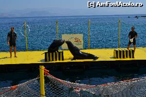 [P42] 4a) Kerkira-croaziera cu Kalypso Star » foto by adryana
 - 
<span class="allrVoted glyphicon glyphicon-heart hidden" id="av670179"></span>
<a class="m-l-10 hidden" id="sv670179" onclick="voting_Foto_DelVot(,670179,993)" role="button">șterge vot <span class="glyphicon glyphicon-remove"></span></a>
<a id="v9670179" class=" c-red"  onclick="voting_Foto_SetVot(670179)" role="button"><span class="glyphicon glyphicon-heart-empty"></span> <b>LIKE</b> = Votează poza</a> <img class="hidden"  id="f670179W9" src="/imagini/loader.gif" border="0" /><span class="AjErrMes hidden" id="e670179ErM"></span>