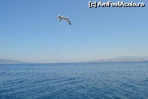 [P45] 4a) Kerkira-croaziera cu Kalypso Star » foto by adryana
 - 
<span class="allrVoted glyphicon glyphicon-heart hidden" id="av670182"></span>
<a class="m-l-10 hidden" id="sv670182" onclick="voting_Foto_DelVot(,670182,993)" role="button">șterge vot <span class="glyphicon glyphicon-remove"></span></a>
<a id="v9670182" class=" c-red"  onclick="voting_Foto_SetVot(670182)" role="button"><span class="glyphicon glyphicon-heart-empty"></span> <b>LIKE</b> = Votează poza</a> <img class="hidden"  id="f670182W9" src="/imagini/loader.gif" border="0" /><span class="AjErrMes hidden" id="e670182ErM"></span>