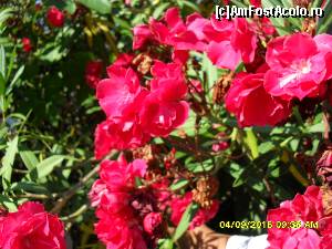 [P204] leandrii in drum spre Afionas » foto by adryana
 - 
<span class="allrVoted glyphicon glyphicon-heart hidden" id="av672040"></span>
<a class="m-l-10 hidden" id="sv672040" onclick="voting_Foto_DelVot(,672040,993)" role="button">șterge vot <span class="glyphicon glyphicon-remove"></span></a>
<a id="v9672040" class=" c-red"  onclick="voting_Foto_SetVot(672040)" role="button"><span class="glyphicon glyphicon-heart-empty"></span> <b>LIKE</b> = Votează poza</a> <img class="hidden"  id="f672040W9" src="/imagini/loader.gif" border="0" /><span class="AjErrMes hidden" id="e672040ErM"></span>