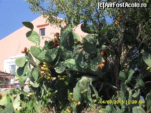 [P220]  -- <small>// FĂRĂ DESCRIERE</small> » foto by adryana
 - 
<span class="allrVoted glyphicon glyphicon-heart hidden" id="av672056"></span>
<a class="m-l-10 hidden" id="sv672056" onclick="voting_Foto_DelVot(,672056,993)" role="button">șterge vot <span class="glyphicon glyphicon-remove"></span></a>
<a id="v9672056" class=" c-red"  onclick="voting_Foto_SetVot(672056)" role="button"><span class="glyphicon glyphicon-heart-empty"></span> <b>LIKE</b> = Votează poza</a> <img class="hidden"  id="f672056W9" src="/imagini/loader.gif" border="0" /><span class="AjErrMes hidden" id="e672056ErM"></span>