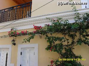 [P243] casa din Afionas » foto by adryana
 - 
<span class="allrVoted glyphicon glyphicon-heart hidden" id="av672079"></span>
<a class="m-l-10 hidden" id="sv672079" onclick="voting_Foto_DelVot(,672079,993)" role="button">șterge vot <span class="glyphicon glyphicon-remove"></span></a>
<a id="v9672079" class=" c-red"  onclick="voting_Foto_SetVot(672079)" role="button"><span class="glyphicon glyphicon-heart-empty"></span> <b>LIKE</b> = Votează poza</a> <img class="hidden"  id="f672079W9" src="/imagini/loader.gif" border="0" /><span class="AjErrMes hidden" id="e672079ErM"></span>