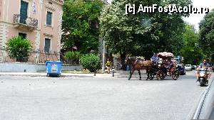 [P16] Trasura din Corfu » foto by anuszka
 - 
<span class="allrVoted glyphicon glyphicon-heart hidden" id="av435943"></span>
<a class="m-l-10 hidden" id="sv435943" onclick="voting_Foto_DelVot(,435943,993)" role="button">șterge vot <span class="glyphicon glyphicon-remove"></span></a>
<a id="v9435943" class=" c-red"  onclick="voting_Foto_SetVot(435943)" role="button"><span class="glyphicon glyphicon-heart-empty"></span> <b>LIKE</b> = Votează poza</a> <img class="hidden"  id="f435943W9" src="/imagini/loader.gif" border="0" /><span class="AjErrMes hidden" id="e435943ErM"></span>