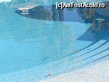[P03] Piscina cu clor si murdara » foto by valikyd83
 - 
<span class="allrVoted glyphicon glyphicon-heart hidden" id="av115062"></span>
<a class="m-l-10 hidden" id="sv115062" onclick="voting_Foto_DelVot(,115062,997)" role="button">șterge vot <span class="glyphicon glyphicon-remove"></span></a>
<a id="v9115062" class=" c-red"  onclick="voting_Foto_SetVot(115062)" role="button"><span class="glyphicon glyphicon-heart-empty"></span> <b>LIKE</b> = Votează poza</a> <img class="hidden"  id="f115062W9" src="/imagini/loader.gif" border="0" /><span class="AjErrMes hidden" id="e115062ErM"></span>