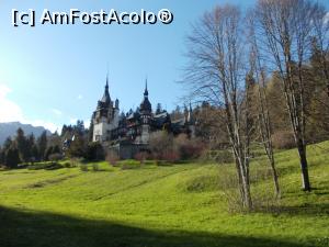 [P15] Castelul Peleș » foto by geta10
 - 
<span class="allrVoted glyphicon glyphicon-heart hidden" id="av1296716"></span>
<a class="m-l-10 hidden" id="sv1296716" onclick="voting_Foto_DelVot(,1296716,1004)" role="button">șterge vot <span class="glyphicon glyphicon-remove"></span></a>
<a id="v91296716" class=" c-red"  onclick="voting_Foto_SetVot(1296716)" role="button"><span class="glyphicon glyphicon-heart-empty"></span> <b>LIKE</b> = Votează poza</a> <img class="hidden"  id="f1296716W9" src="/imagini/loader.gif" border="0" /><span class="AjErrMes hidden" id="e1296716ErM"></span>