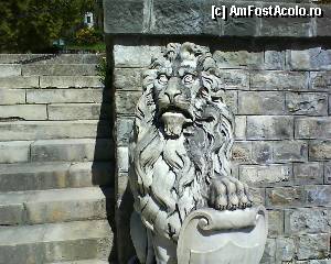 [P09] Tot de la Castelul Peles » foto by papalito
 - 
<span class="allrVoted glyphicon glyphicon-heart hidden" id="av349068"></span>
<a class="m-l-10 hidden" id="sv349068" onclick="voting_Foto_DelVot(,349068,1004)" role="button">șterge vot <span class="glyphicon glyphicon-remove"></span></a>
<a id="v9349068" class=" c-red"  onclick="voting_Foto_SetVot(349068)" role="button"><span class="glyphicon glyphicon-heart-empty"></span> <b>LIKE</b> = Votează poza</a> <img class="hidden"  id="f349068W9" src="/imagini/loader.gif" border="0" /><span class="AjErrMes hidden" id="e349068ErM"></span>