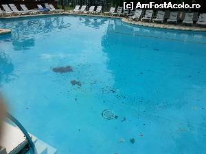 [P03] Asa arata piscina in una din putinele zile cu soare pe care le-am prins si in care s-ar putea face baie... teoretic.  » foto by Nicu.M
 - 
<span class="allrVoted glyphicon glyphicon-heart hidden" id="av517724"></span>
<a class="m-l-10 hidden" id="sv517724" onclick="voting_Foto_DelVot(,517724,1042)" role="button">șterge vot <span class="glyphicon glyphicon-remove"></span></a>
<a id="v9517724" class=" c-red"  onclick="voting_Foto_SetVot(517724)" role="button"><span class="glyphicon glyphicon-heart-empty"></span> <b>LIKE</b> = Votează poza</a> <img class="hidden"  id="f517724W9" src="/imagini/loader.gif" border="0" /><span class="AjErrMes hidden" id="e517724ErM"></span>