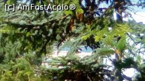 [P03] Asa se vedea marea de la camera 313 » foto by Lucky2017
 - 
<span class="allrVoted glyphicon glyphicon-heart hidden" id="av888517"></span>
<a class="m-l-10 hidden" id="sv888517" onclick="voting_Foto_DelVot(,888517,1042)" role="button">șterge vot <span class="glyphicon glyphicon-remove"></span></a>
<a id="v9888517" class=" c-red"  onclick="voting_Foto_SetVot(888517)" role="button"><span class="glyphicon glyphicon-heart-empty"></span> <b>LIKE</b> = Votează poza</a> <img class="hidden"  id="f888517W9" src="/imagini/loader.gif" border="0" /><span class="AjErrMes hidden" id="e888517ErM"></span>