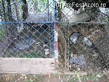 [P22] Animalutele care fac deliciul copiilor - amplasate la locul de joaca. » foto by mirelutza
 - 
<span class="allrVoted glyphicon glyphicon-heart hidden" id="av46598"></span>
<a class="m-l-10 hidden" id="sv46598" onclick="voting_Foto_DelVot(,46598,1079)" role="button">șterge vot <span class="glyphicon glyphicon-remove"></span></a>
<a id="v946598" class=" c-red"  onclick="voting_Foto_SetVot(46598)" role="button"><span class="glyphicon glyphicon-heart-empty"></span> <b>LIKE</b> = Votează poza</a> <img class="hidden"  id="f46598W9" src="/imagini/loader.gif" border="0" /><span class="AjErrMes hidden" id="e46598ErM"></span>