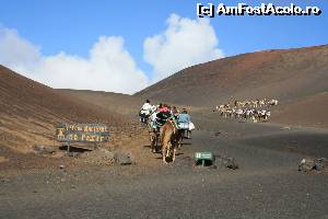 [P02] cu camila prin desert... pe insula Lanzarote » foto by Pami*
 - 
<span class="allrVoted glyphicon glyphicon-heart hidden" id="av525423"></span>
<a class="m-l-10 hidden" id="sv525423" onclick="voting_Foto_DelVot(,525423,1154)" role="button">șterge vot <span class="glyphicon glyphicon-remove"></span></a>
<a id="v9525423" class=" c-red"  onclick="voting_Foto_SetVot(525423)" role="button"><span class="glyphicon glyphicon-heart-empty"></span> <b>LIKE</b> = Votează poza</a> <img class="hidden"  id="f525423W9" src="/imagini/loader.gif" border="0" /><span class="AjErrMes hidden" id="e525423ErM"></span>