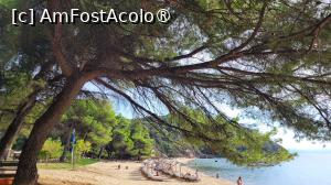 [P16] Banana Mare, Skiathos » foto by vlado2
 - 
<span class="allrVoted glyphicon glyphicon-heart hidden" id="av1521986"></span>
<a class="m-l-10 hidden" id="sv1521986" onclick="voting_Foto_DelVot(,1521986,1166)" role="button">șterge vot <span class="glyphicon glyphicon-remove"></span></a>
<a id="v91521986" class=" c-red"  onclick="voting_Foto_SetVot(1521986)" role="button"><span class="glyphicon glyphicon-heart-empty"></span> <b>LIKE</b> = Votează poza</a> <img class="hidden"  id="f1521986W9" src="/imagini/loader.gif" border="0" /><span class="AjErrMes hidden" id="e1521986ErM"></span>