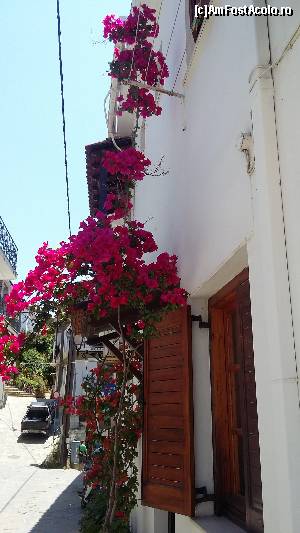 P53 [JUN-2015] Skiathos Town