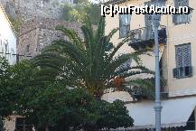 [P10] atat de mediteranean » foto by Cristian_h
 - 
<span class="allrVoted glyphicon glyphicon-heart hidden" id="av43389"></span>
<a class="m-l-10 hidden" id="sv43389" onclick="voting_Foto_DelVot(,43389,1167)" role="button">șterge vot <span class="glyphicon glyphicon-remove"></span></a>
<a id="v943389" class=" c-red"  onclick="voting_Foto_SetVot(43389)" role="button"><span class="glyphicon glyphicon-heart-empty"></span> <b>LIKE</b> = Votează poza</a> <img class="hidden"  id="f43389W9" src="/imagini/loader.gif" border="0" /><span class="AjErrMes hidden" id="e43389ErM"></span>