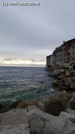 [P07] Rovinj » foto by dana_tm
 - 
<span class="allrVoted glyphicon glyphicon-heart hidden" id="av1072389"></span>
<a class="m-l-10 hidden" id="sv1072389" onclick="voting_Foto_DelVot(,1072389,1168)" role="button">șterge vot <span class="glyphicon glyphicon-remove"></span></a>
<a id="v91072389" class=" c-red"  onclick="voting_Foto_SetVot(1072389)" role="button"><span class="glyphicon glyphicon-heart-empty"></span> <b>LIKE</b> = Votează poza</a> <img class="hidden"  id="f1072389W9" src="/imagini/loader.gif" border="0" /><span class="AjErrMes hidden" id="e1072389ErM"></span>